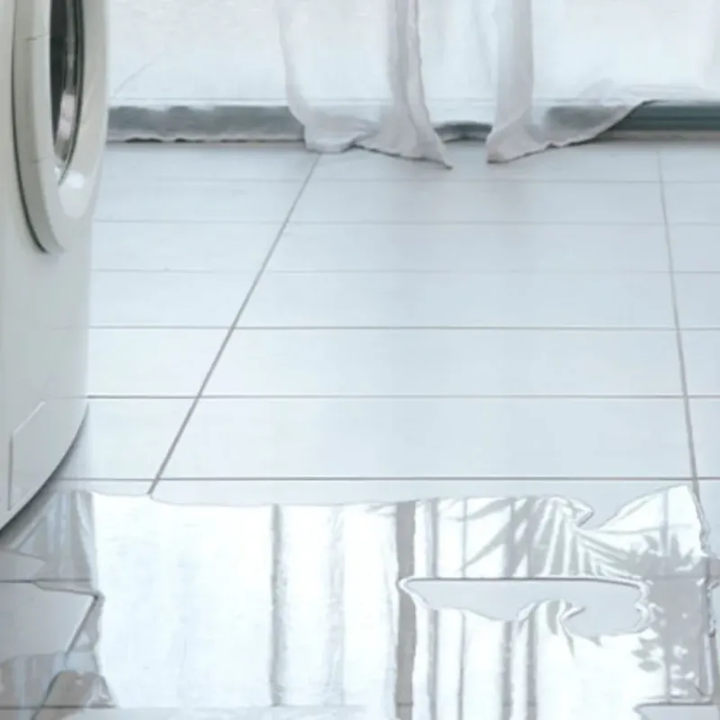 Appliance Leak Cleanup in Henderson, GA