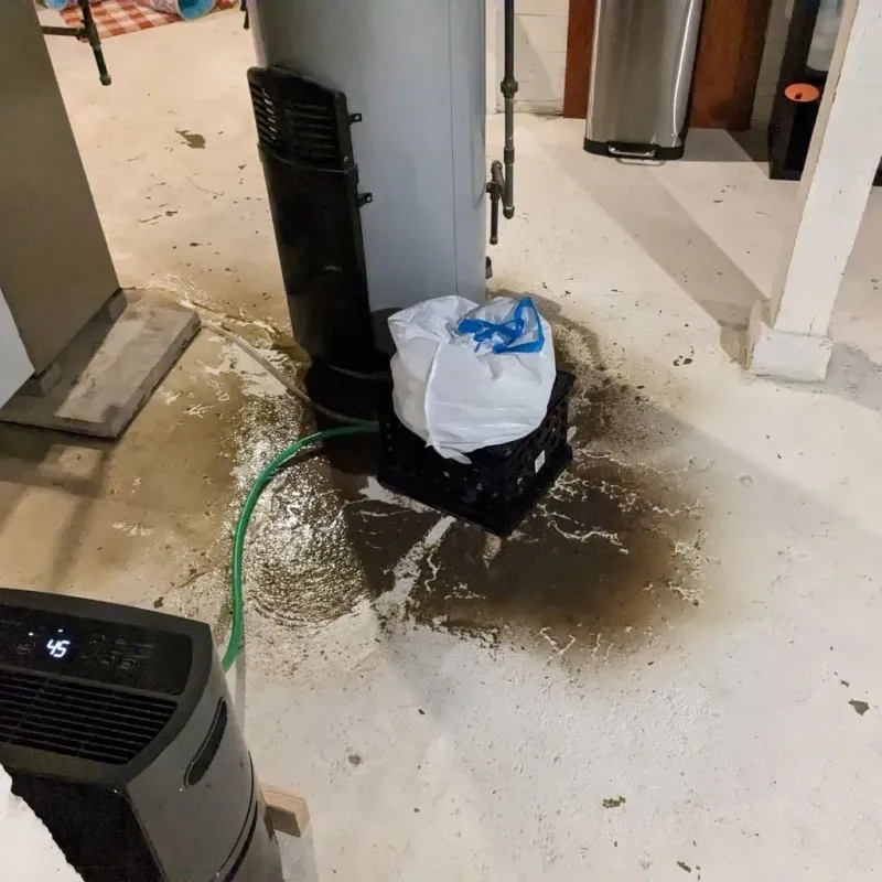 Sewage Backup Cleanup Service in Henderson, GA